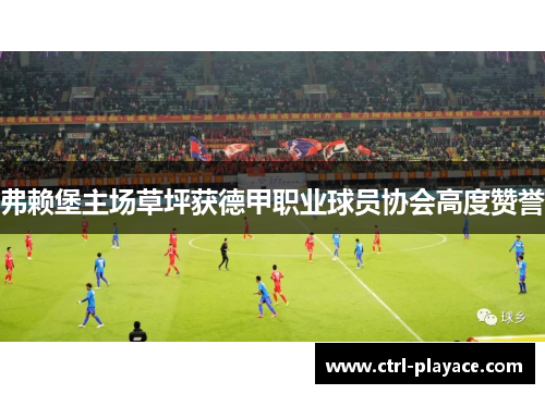 弗赖堡主场草坪获德甲职业球员协会高度赞誉 弗赖堡主场草坪获德甲职业球员协会高度赞誉